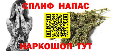 гидра Гусев